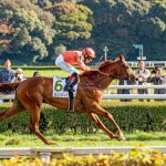 長距離レース攻略法！スタミナ自慢の馬を探せ